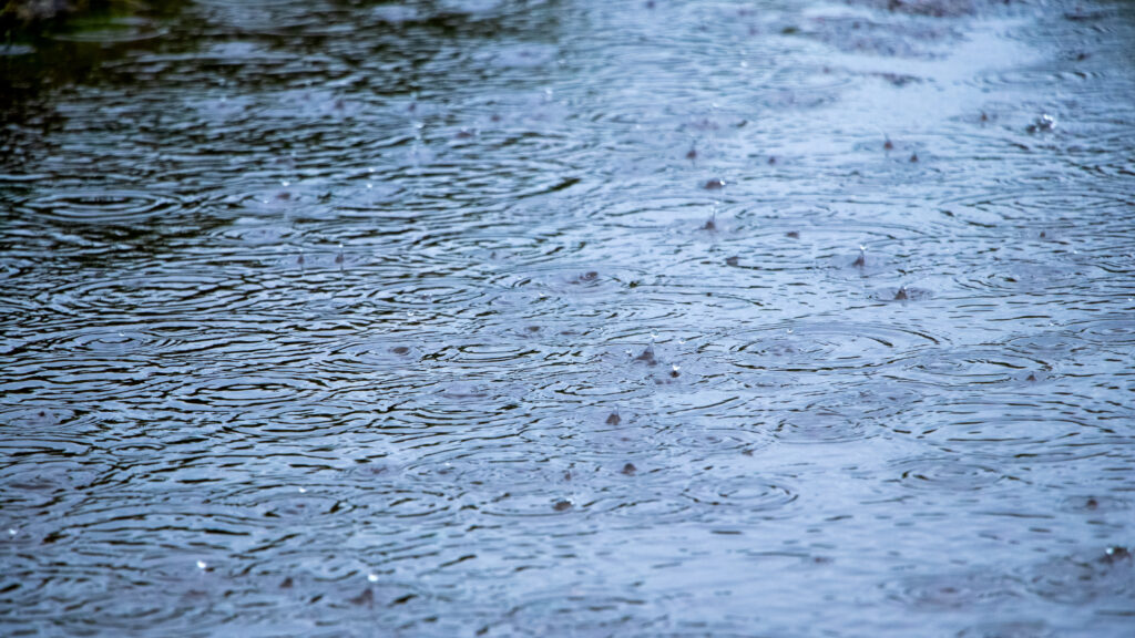 雨が降って複数波紋ができている地面