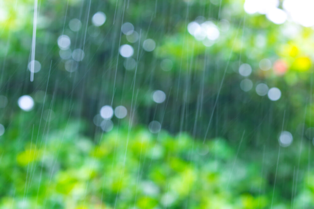 草木の緑をバックに降る雨粒