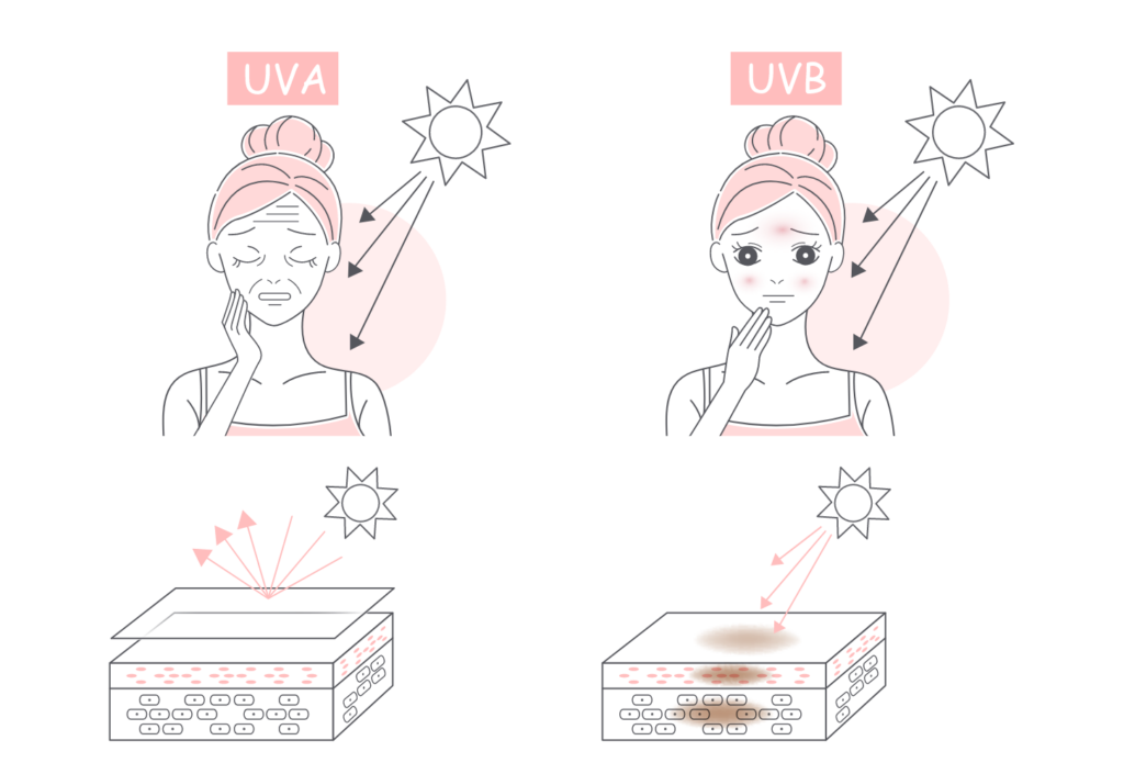 紫外線UVAとUVBのイメージ画像